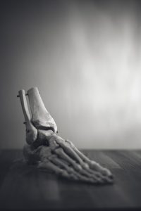 Photo by freestocks on Unsplash