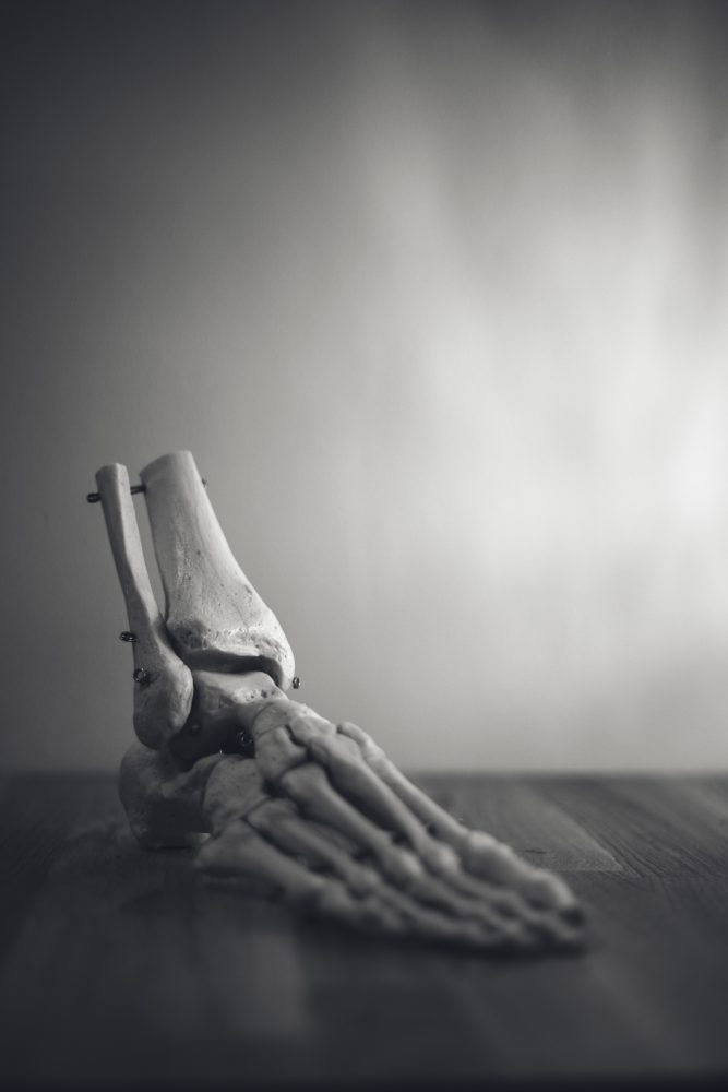 Photo by freestocks on Unsplash